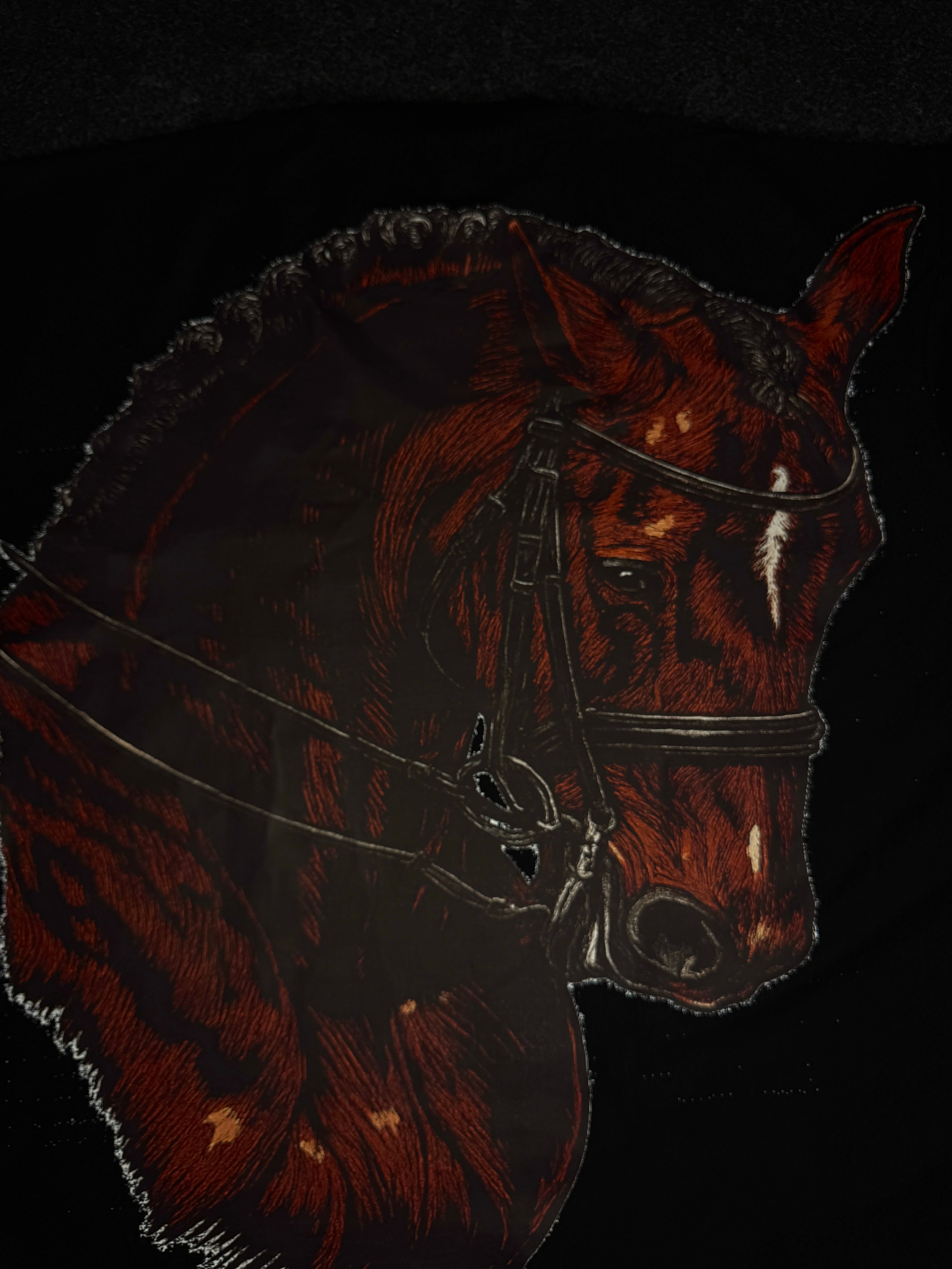Midnight Rider